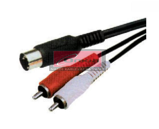 Kabel DIN - 2xRCA 1.2m CB-5048